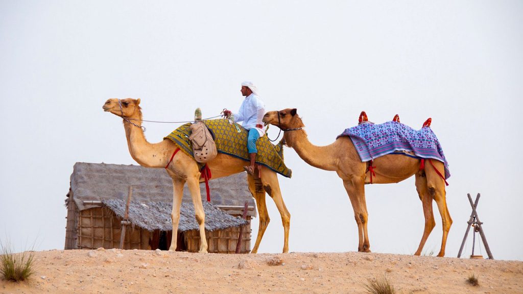 Desert Safari, best travel agency in Dubai